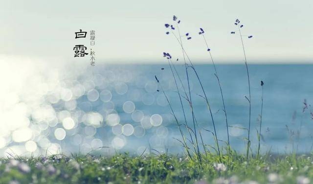 2022年白露时间，9月7日16时51分41秒插图