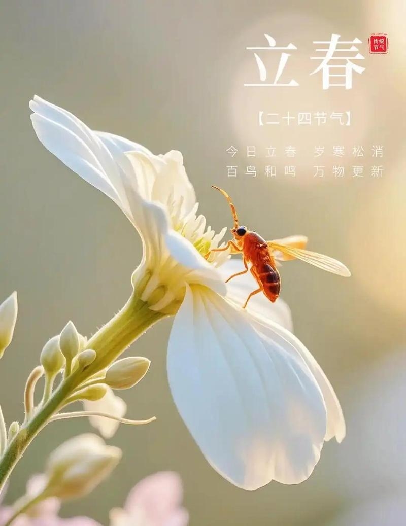 2023双春年，立春节气再现，拜神祈福迎新岁插图