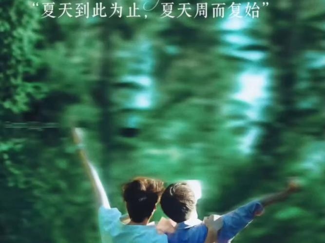 夏沫，夏日微光中的温柔告别插图