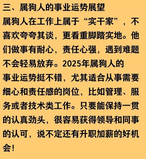 2023年属狗运势及年度整体分析插图