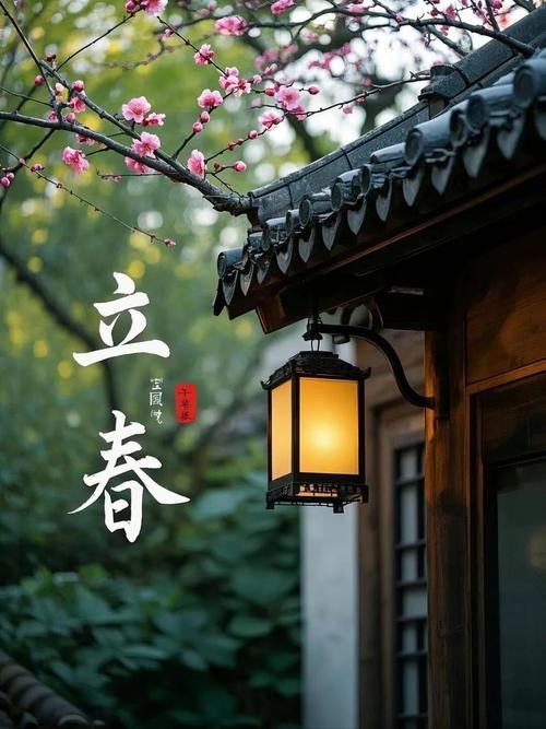 2023年躲春，独处避光，静心迎新岁插图