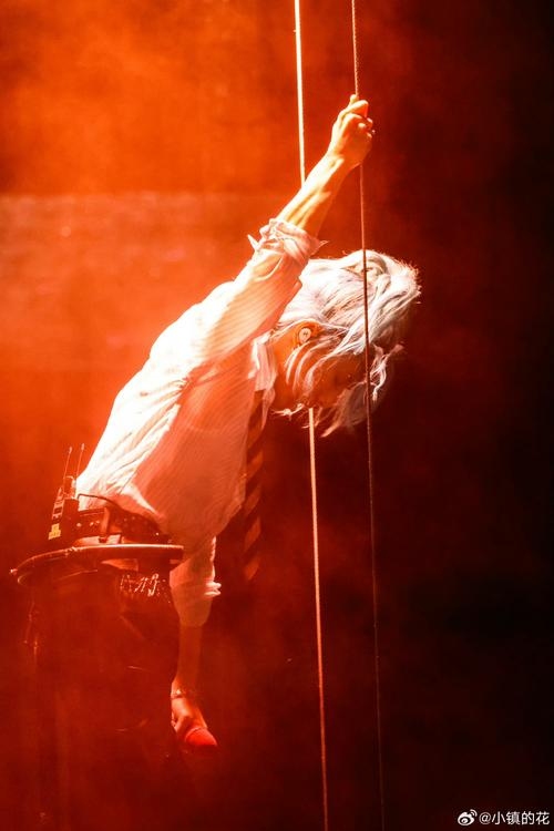 Jelena，跨越国界的音乐桥梁插图