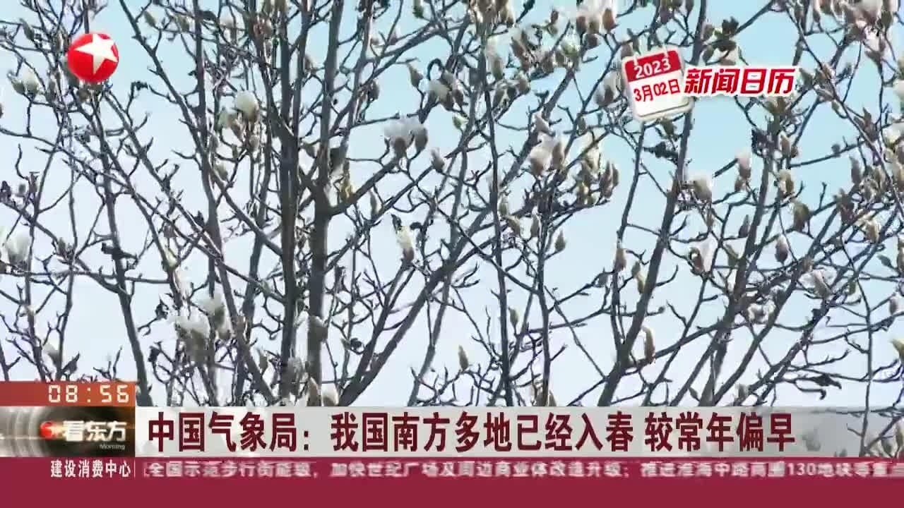 2023年打春时间揭晓，把握春日新气象插图