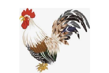 属鸡2021年运势及运程详解插图