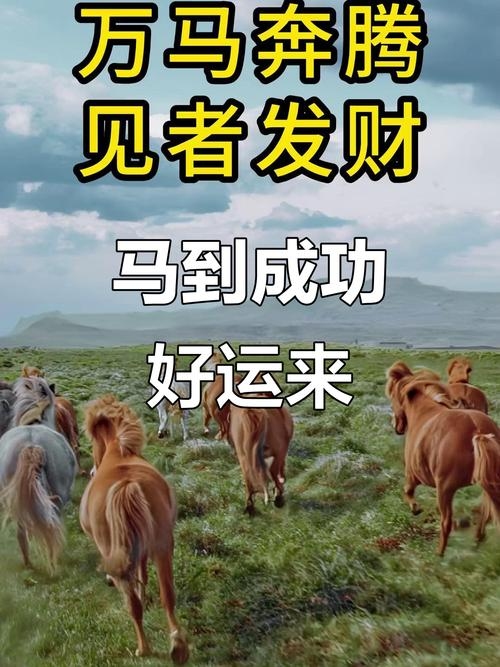 2022年属马的全年运势，势不可挡，喜乐安康皆可期插图