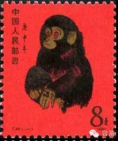 1971年属什么,解密生肖轮回的奥秘插图 1971年属什么,解密生肖轮回的奥秘插图