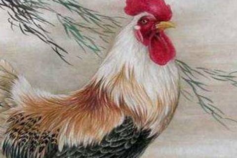 1993年，属鸡的精彩岁月插图