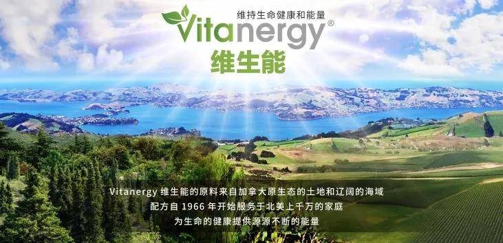 幽雅，一种超越表面的生活态度插图