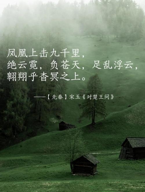 升腾，一语中的，万千可能插图