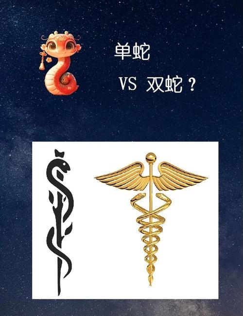 灵丹妙药对应生肖蛇，揭秘其文化含义插图