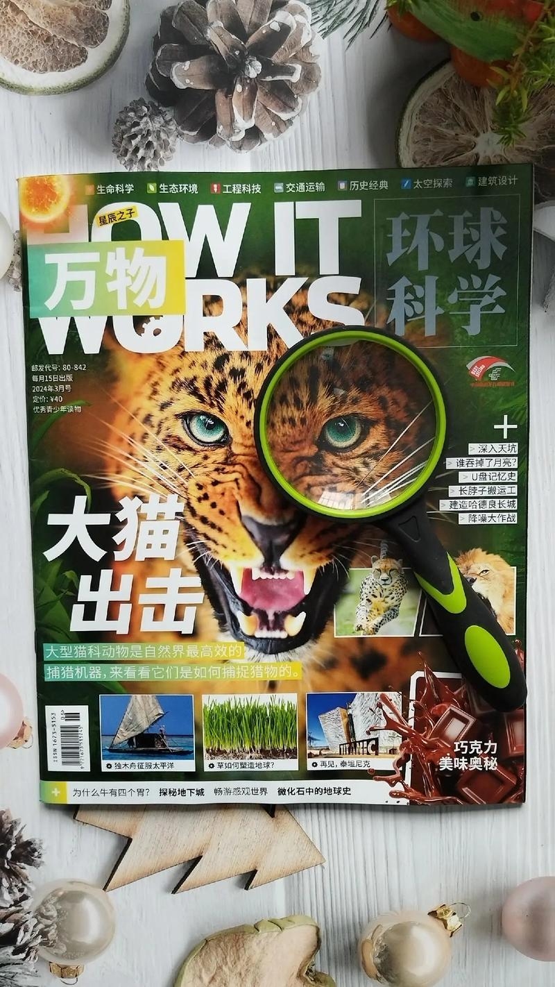 探索新知，杂志名称的多样性与影响力插图