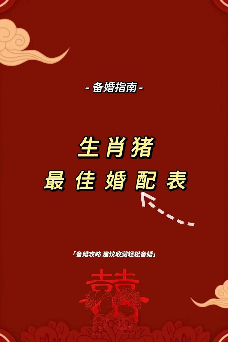 属猪男最佳婚配，寻找命中注定的温柔乡插图