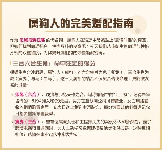 属狗男最佳婚配，寻找命中注定的温柔伴侣插图