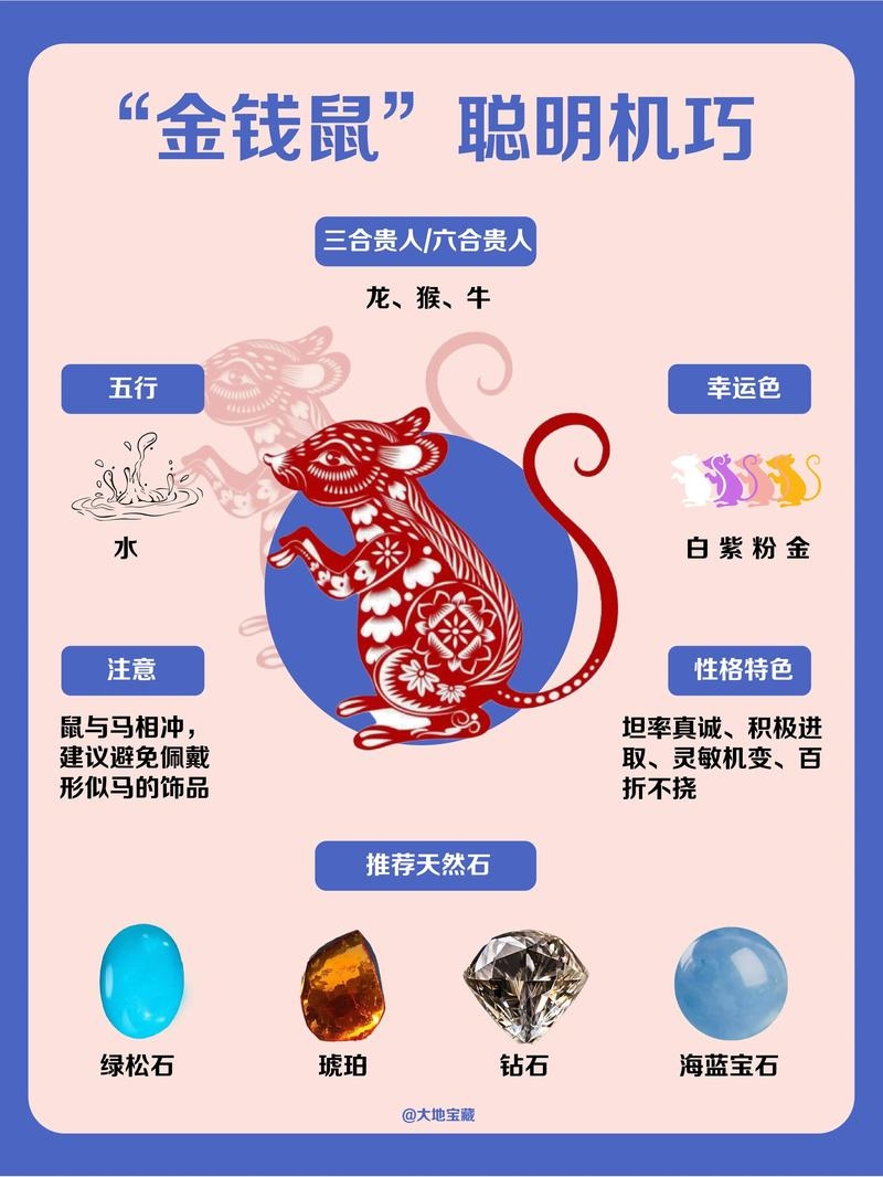 星座与生肖，解码生命本质的密码之谜插图