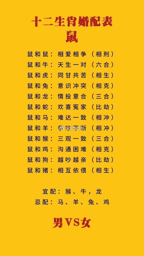 属鼠与什么属相最配，探寻生肖佳缘的奥秘插图