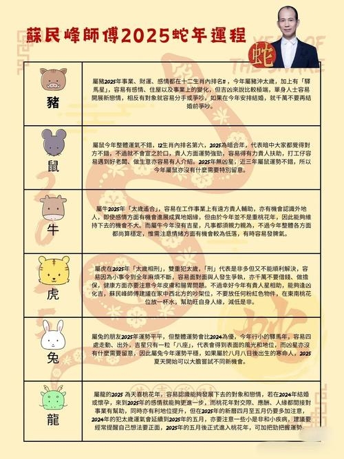 属相运势，探索十二生肖的年度运势插图