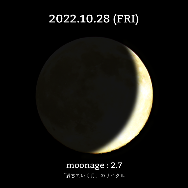 10月28日为射手座插图