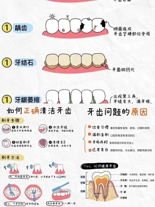 探秘牙齿相学,古老智慧与现代健康的交汇插图 探秘牙齿相学,古老智慧与现代健康的交汇插图