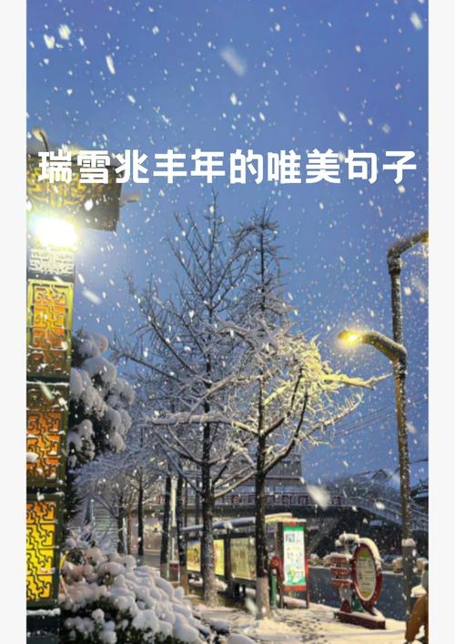 11月14号，冬日初雪的温柔预兆插图