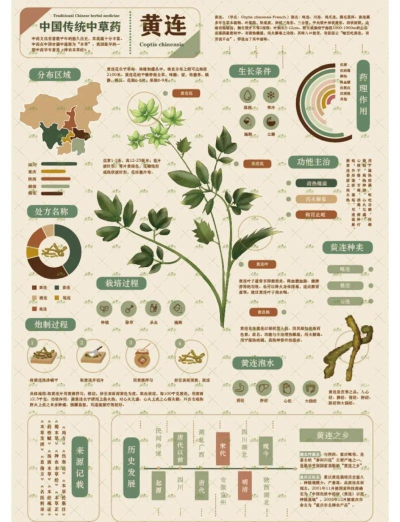 探索中草药名,传统智慧与自然疗法的奇妙融合插图 探索中草药名,传统智慧与自然疗法的奇妙融合插图
