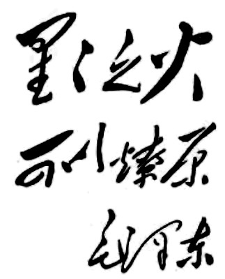 星星之火，蛇或鼠，隐喻新生的力量插图