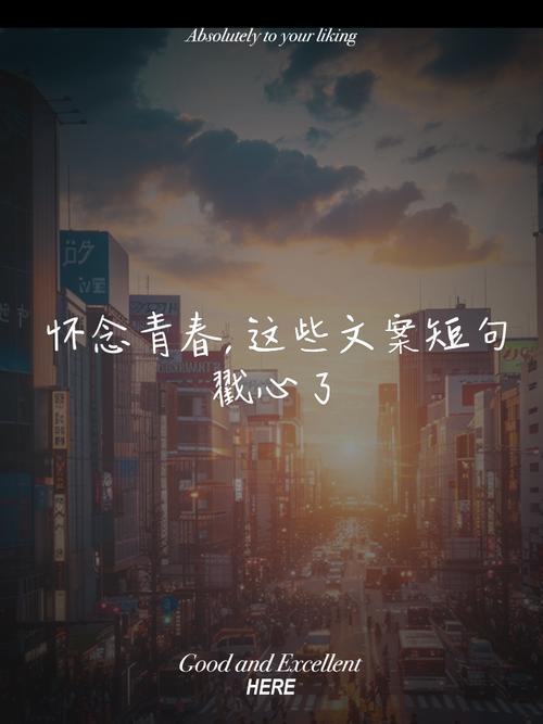 心碎在青春，念旧难忘，用钱换梦落空，孤独彷徨插图