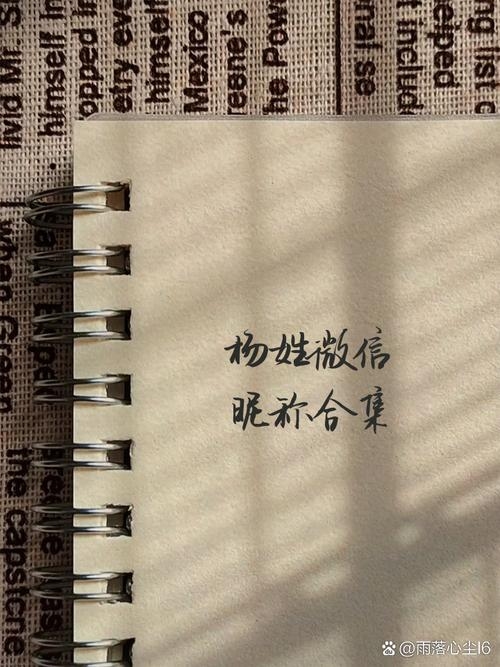 杨姓最霸气名字，狂狼、铁血等插图