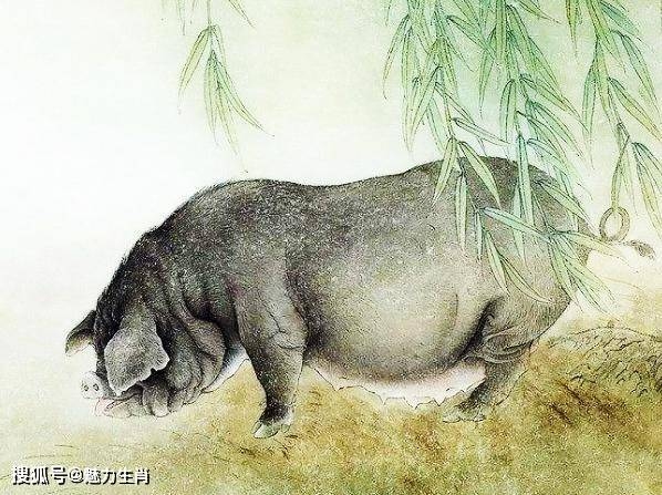 猪狗之辈打一生肖，神秘命格与生肖图腾的奇幻联结插图