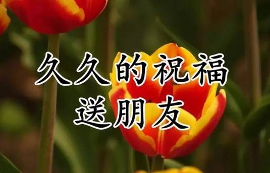 腊月初九，岁末的温馨与期盼插图