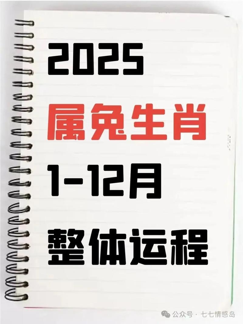 下一个兔年，2035年的希望与机遇插图