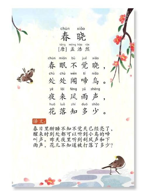 鸟语花香，探索鸟儿拼音的奥秘插图