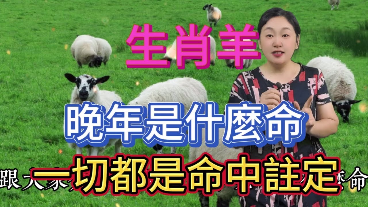 谜语解析，生肖羊的秘密插图