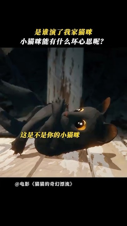 猫影迷踪，梦境中的鱼与猫的奇妙互动插图