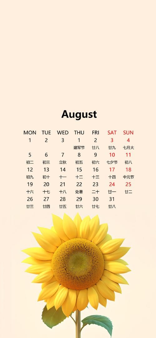 8月日历，揭秘时光里的精致与生活之美插图