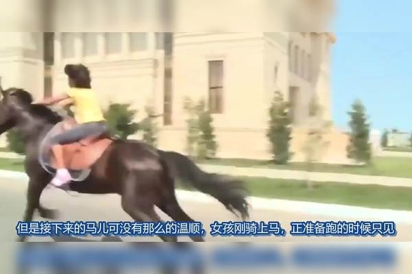 骄阳似火，生肖马最烈插图