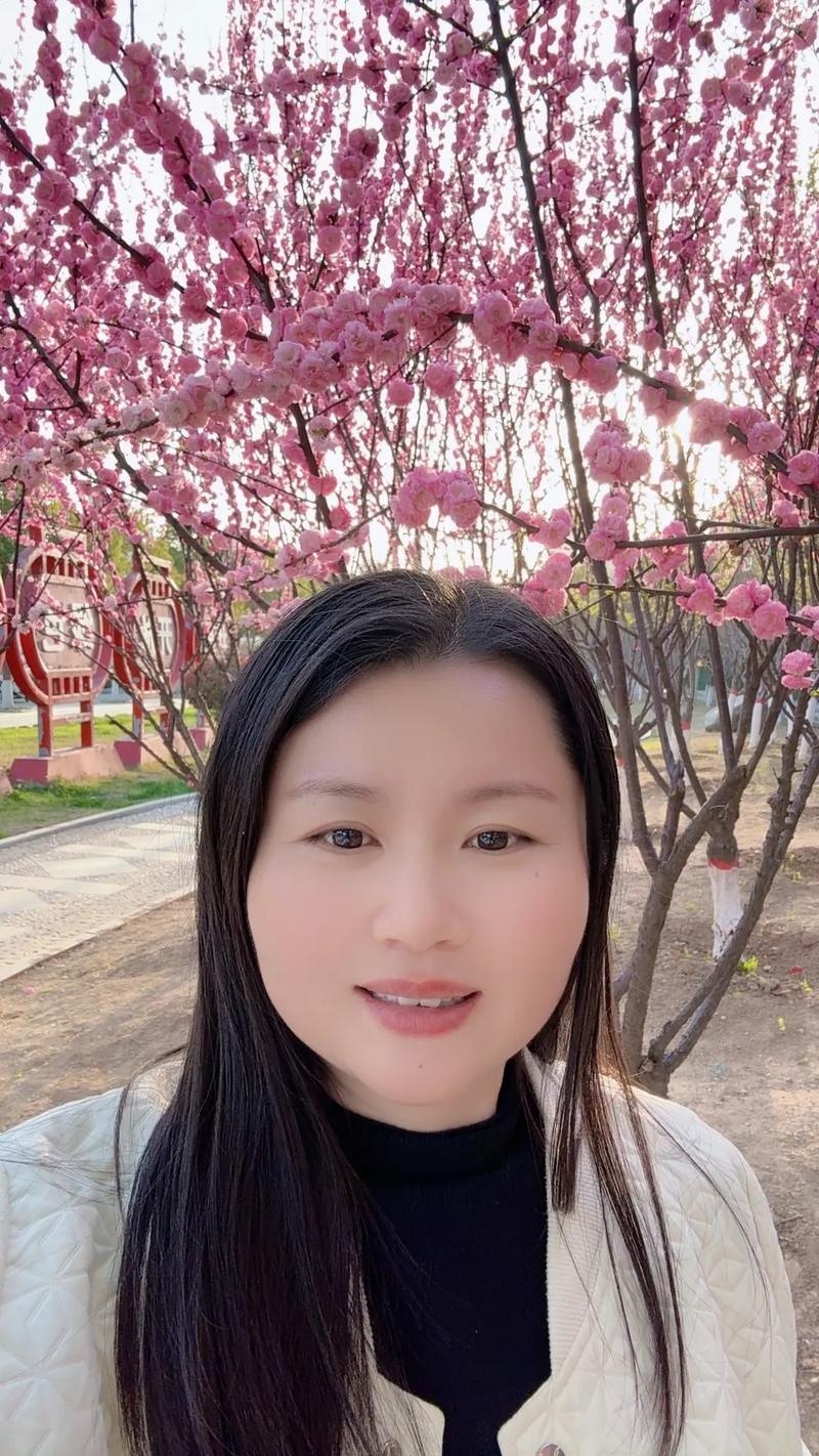 泌阳征婚，寻找爱与归宿的温柔选择插图