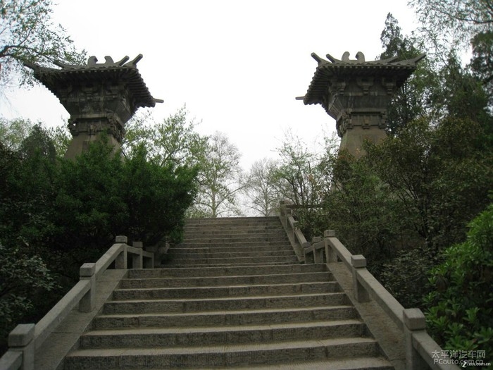 洛阳征婚，古都新风尚，爱在河洛间插图