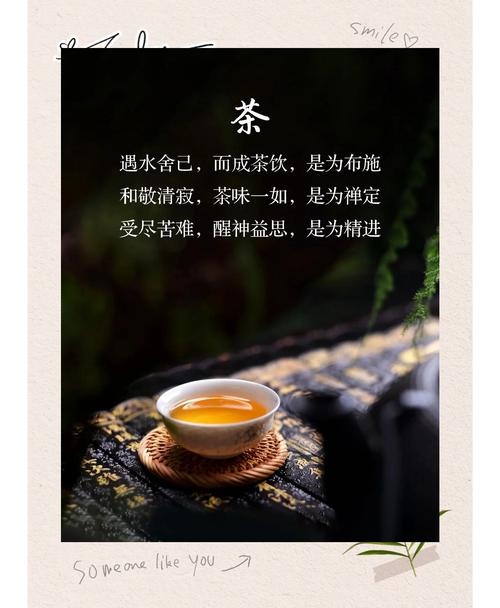 诗意茶名，沁道、翠雅茗，传递茶香与美好插图
