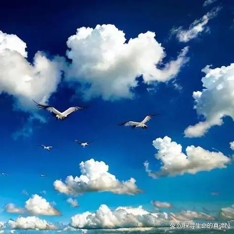 闲云野鹤，生肖蛇的自由与超脱之谜插图