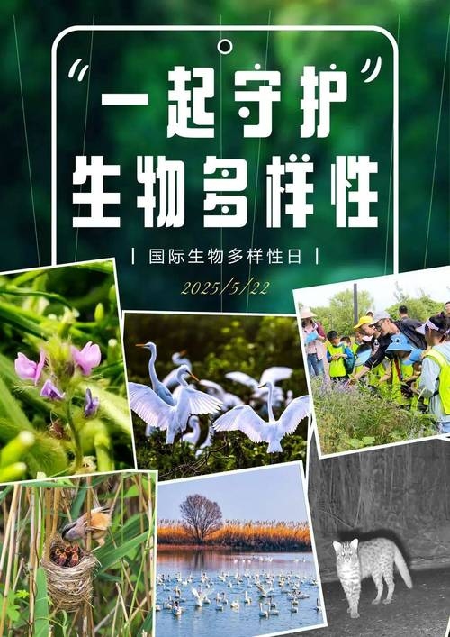 5月22日，世界生物多样性和自然日插图