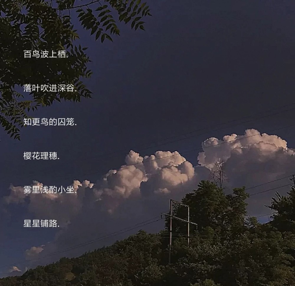 诗意浪漫，传统韵味，最新网名发布中心插图