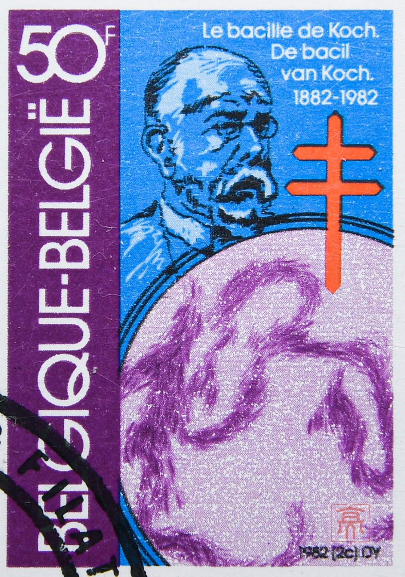 3月24日,纪念科赫发现结核菌,全球共筑健康防线插图 3月24日,纪念科赫发现结核菌,全球共筑健康防线插图