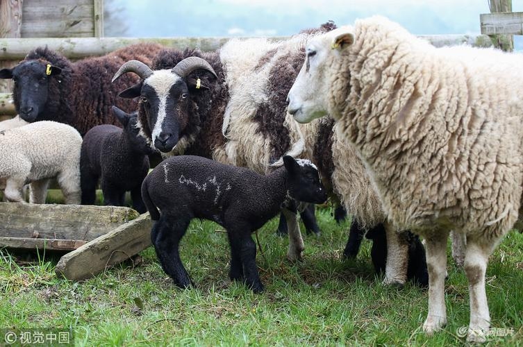 4月10日，耶稣受难日与非洲环保日插图