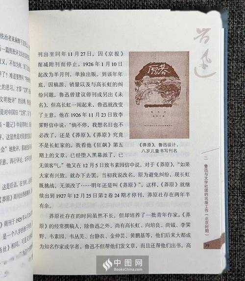 纪英男种子，当代文艺青年精神图谱的书写者插图