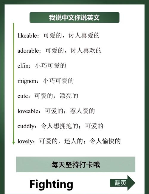 萌英语单词，解锁语言中的萌力插图