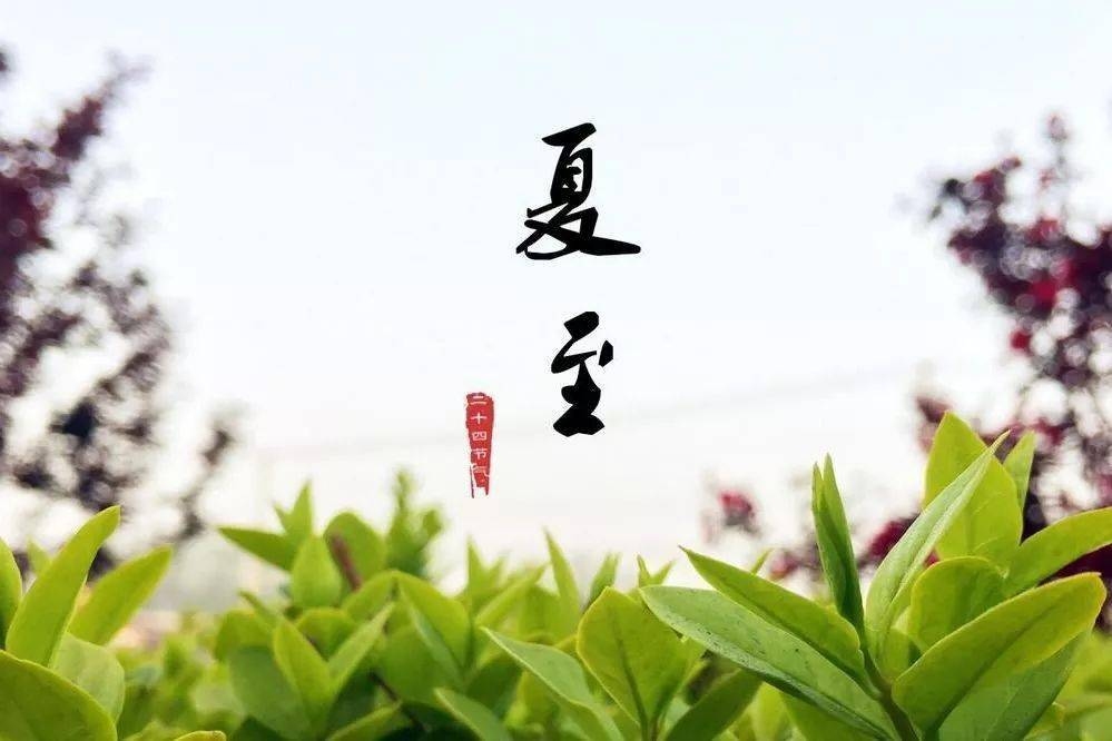 夏至的含义与传统文化解读插图