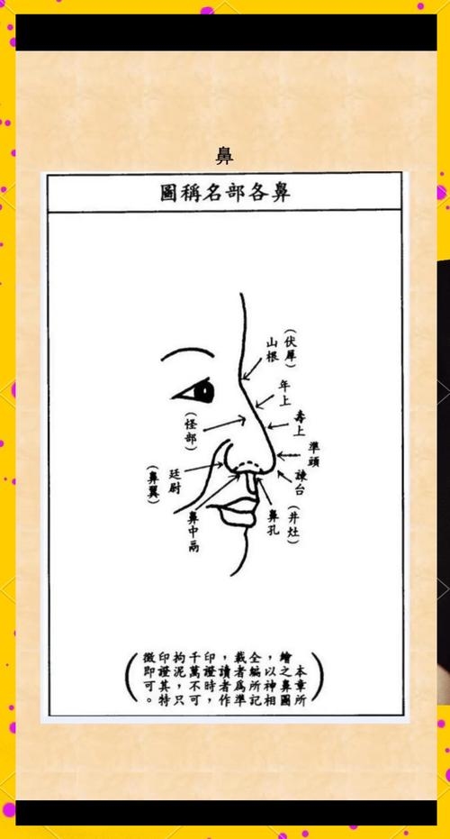 鼻子看相，古老智慧与现代心理的微妙交织插图