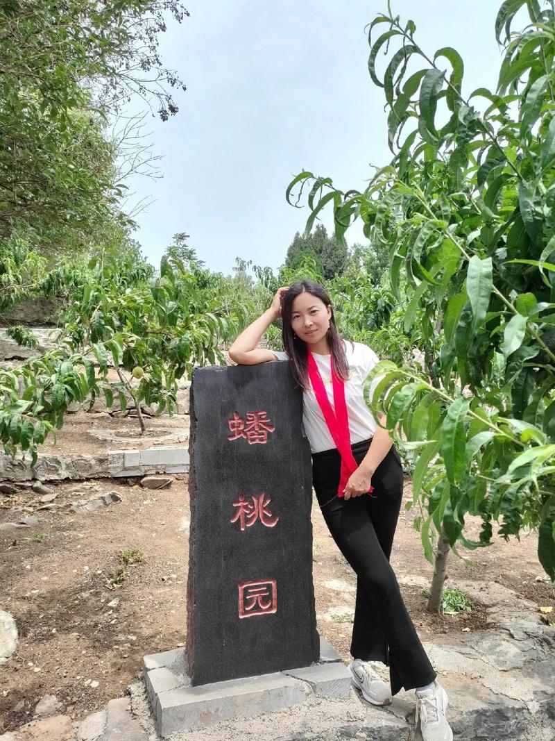 寻找理想之处的莱芜征婚之路插图