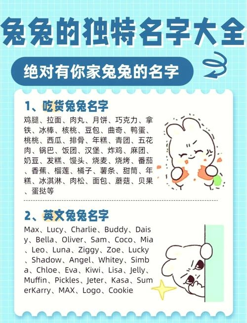 兔子名字多样，各类风格均有创意。插图