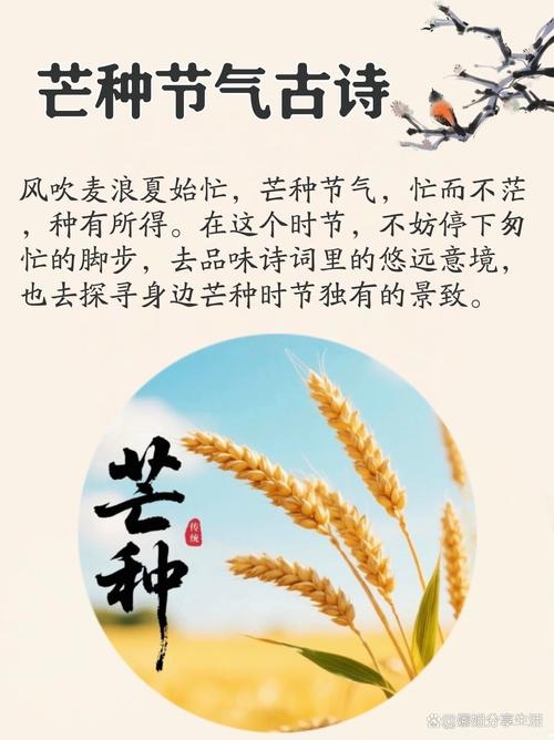 芒种时辰，春耕时节的天人互动与农事探索插图